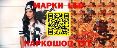 гидра Новодвинск
