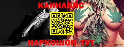 гидра Новодвинск