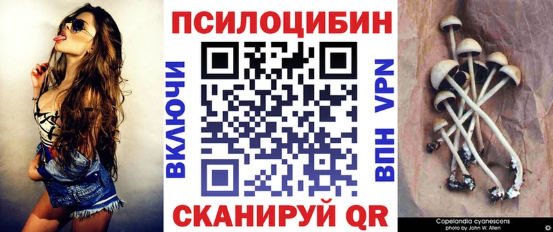 omg как войти  хочу   Туймазы  Галлюциногенные грибы Psilocybe 