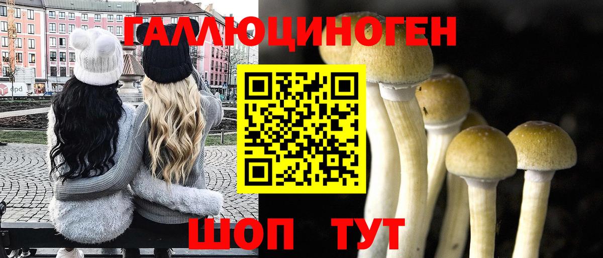 Псилоцибиновые грибы мицелий  Галлюциногенные грибы Psilocybine cubensis  Вход с VPN  Туймазы 